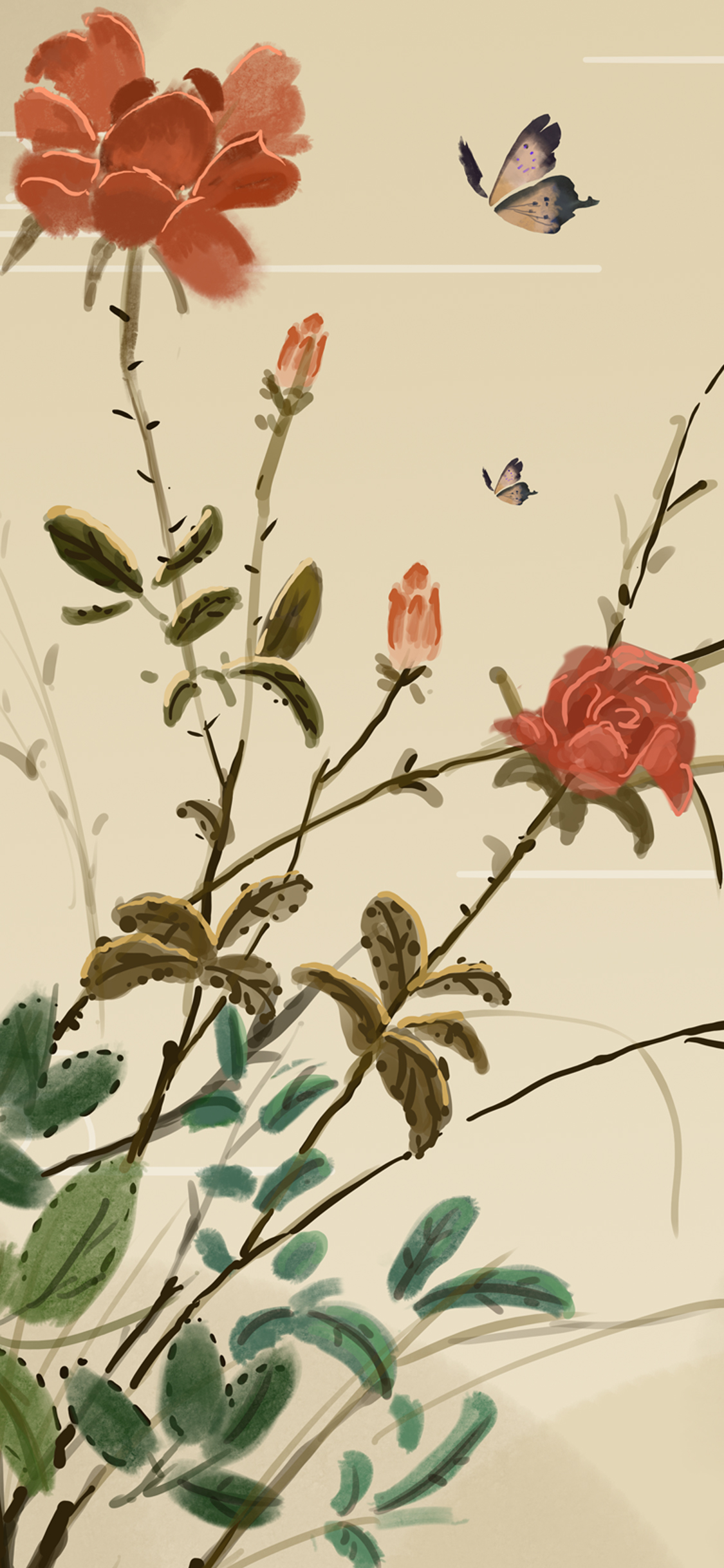 手机型号壁纸图片,169手机壁纸尺寸