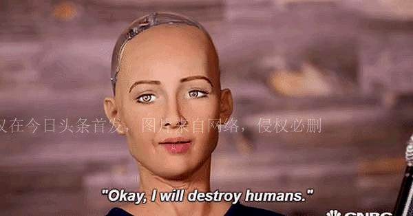 机器人索菲亚毁灭人类原声,索菲亚机器人真的要毁灭人类吗