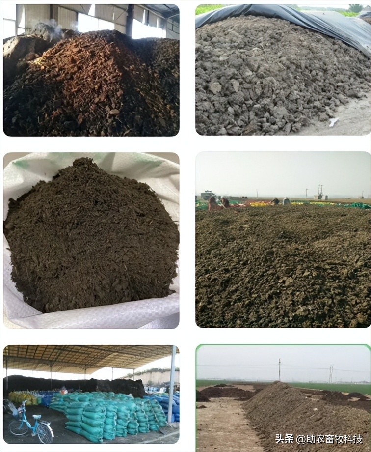 粪类肥料,复合肥鸡粪肥