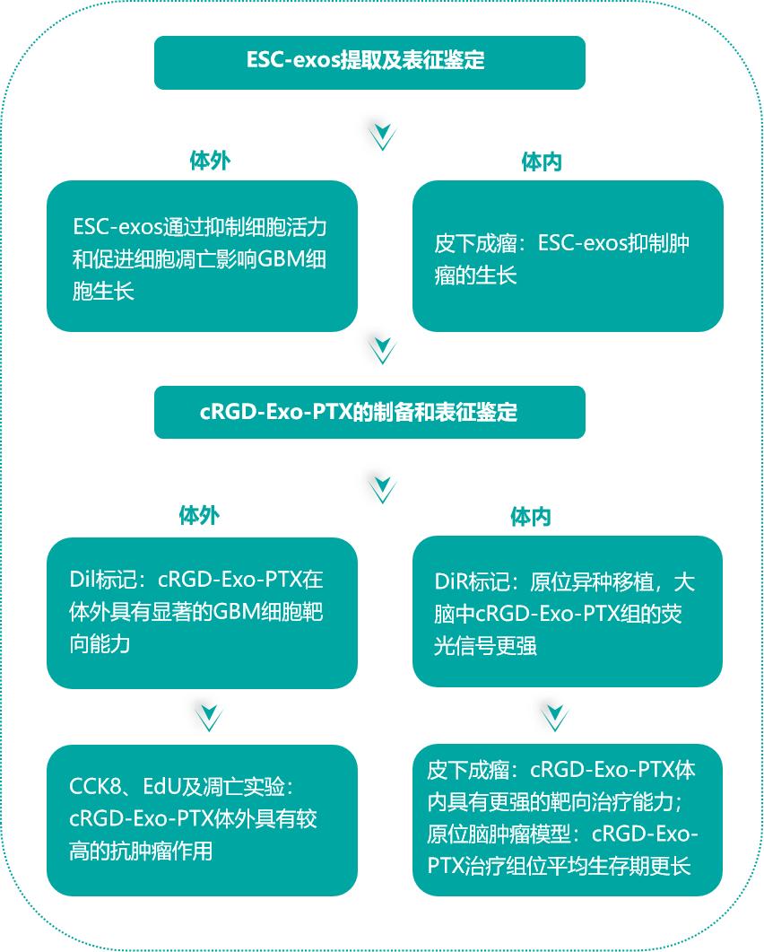 法国最新治疗胶质母细胞瘤,干细胞治疗母细胞胶质瘤