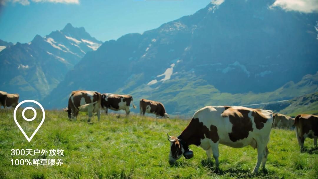 惠氏铂臻新国标奶粉,惠氏通过新国标