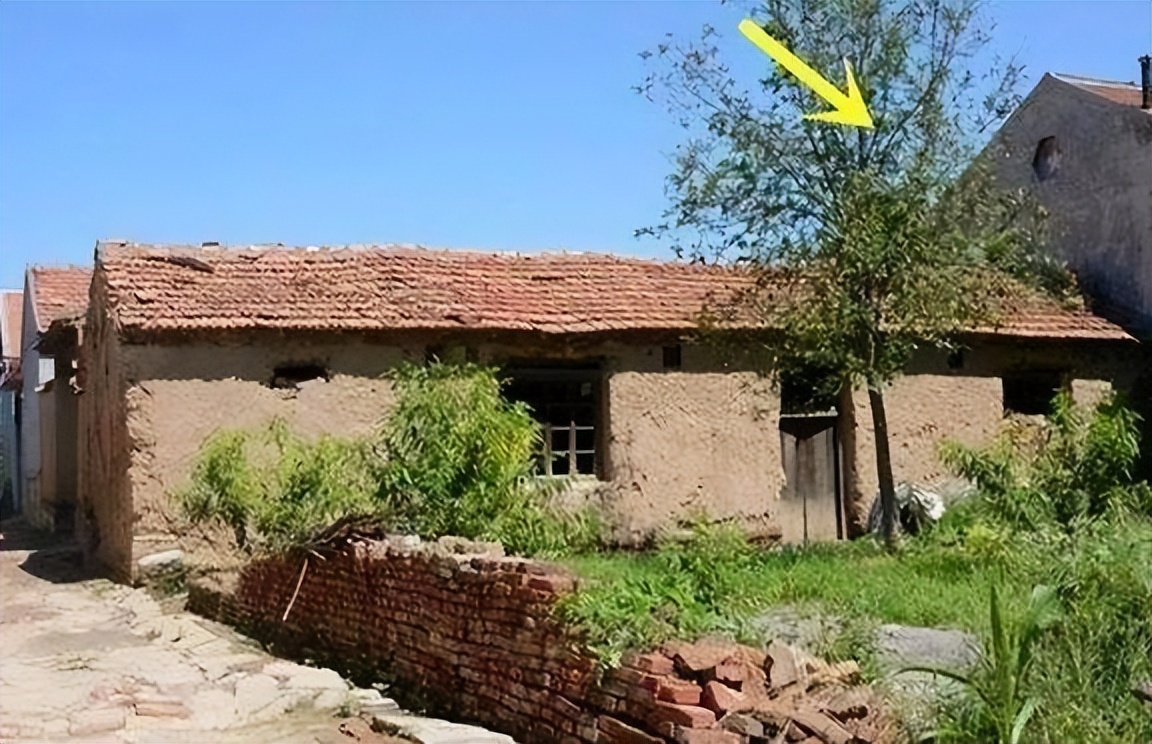 老祖宗常说：“日不晒根，口不吞阳”，晒根与吞阳都有什么含义？