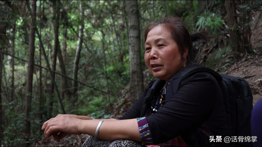 六五环境日关爱自然图片,六五环境日是什么