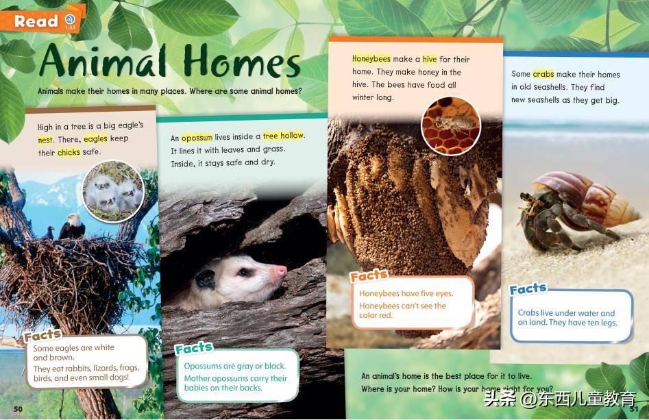 初升高快速记住英语单词书,江西省初中英语单词必背3500词汇