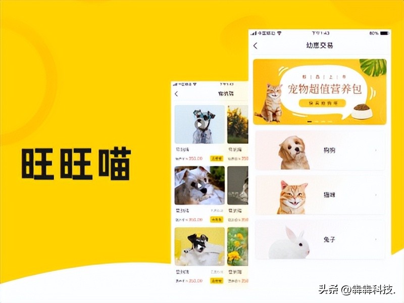 宠物粮批发怎么做,宠物粮代发网站