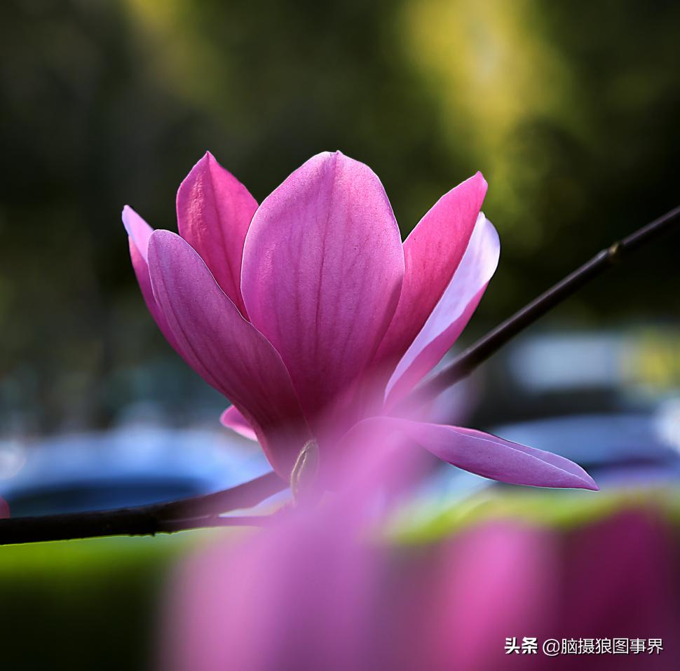 拍照如何确保对焦准确,拍照时对焦很难对上