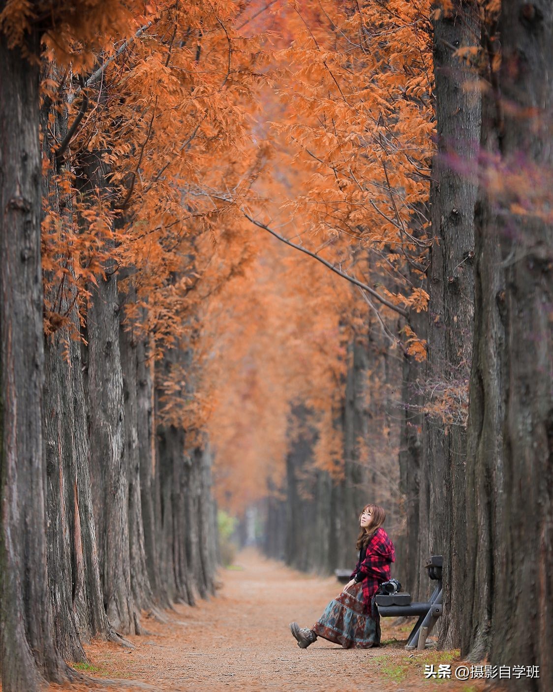 手机摄影实用摄影技巧,手机摄影最新拍摄小技巧热门作品