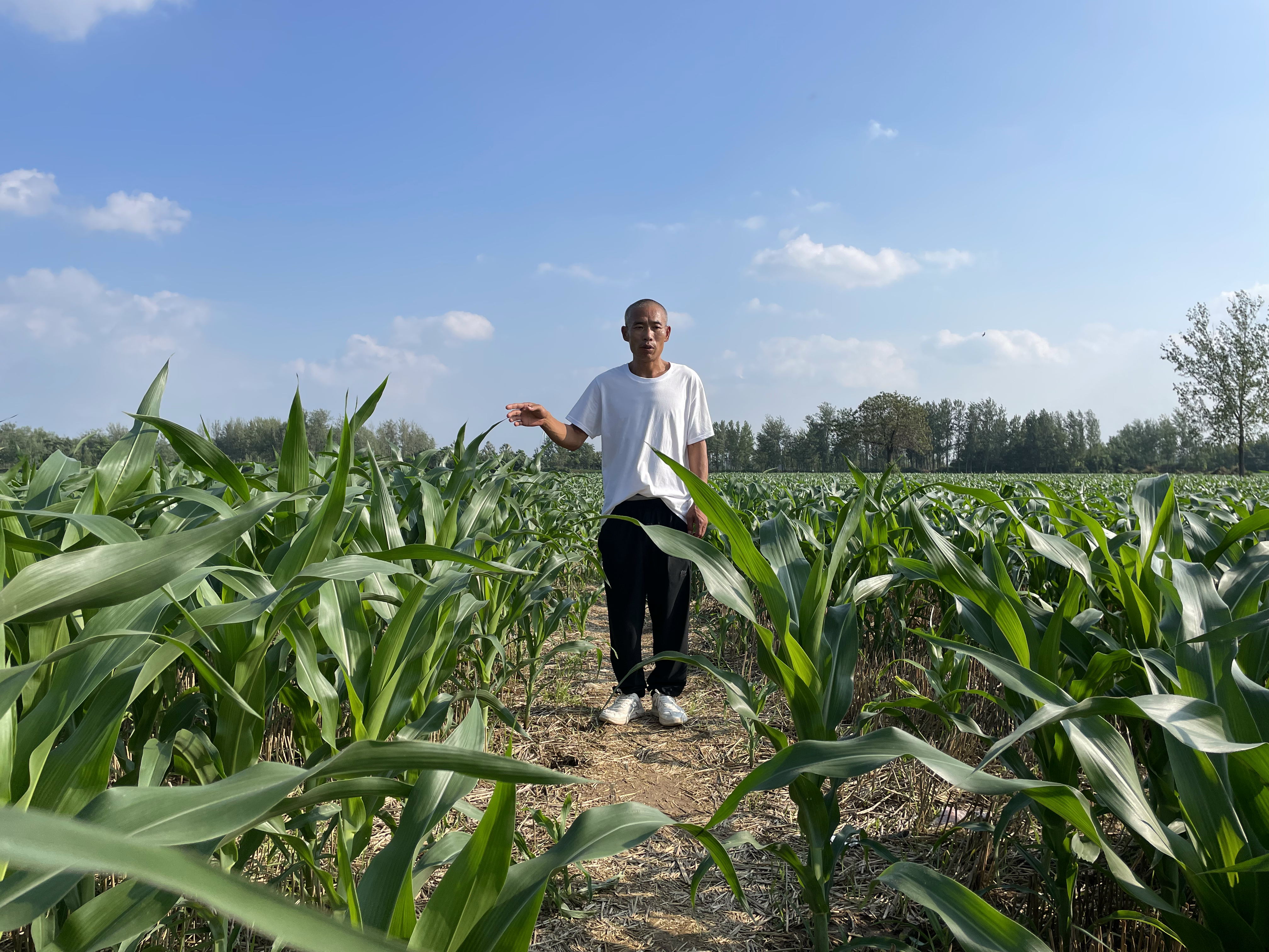 “杀人犯”谢哲海洗冤录:自称因凑热闹被控“强奸未遂后杀人”,服刑22年,出狱后仍在喊冤,靠打零工为生
