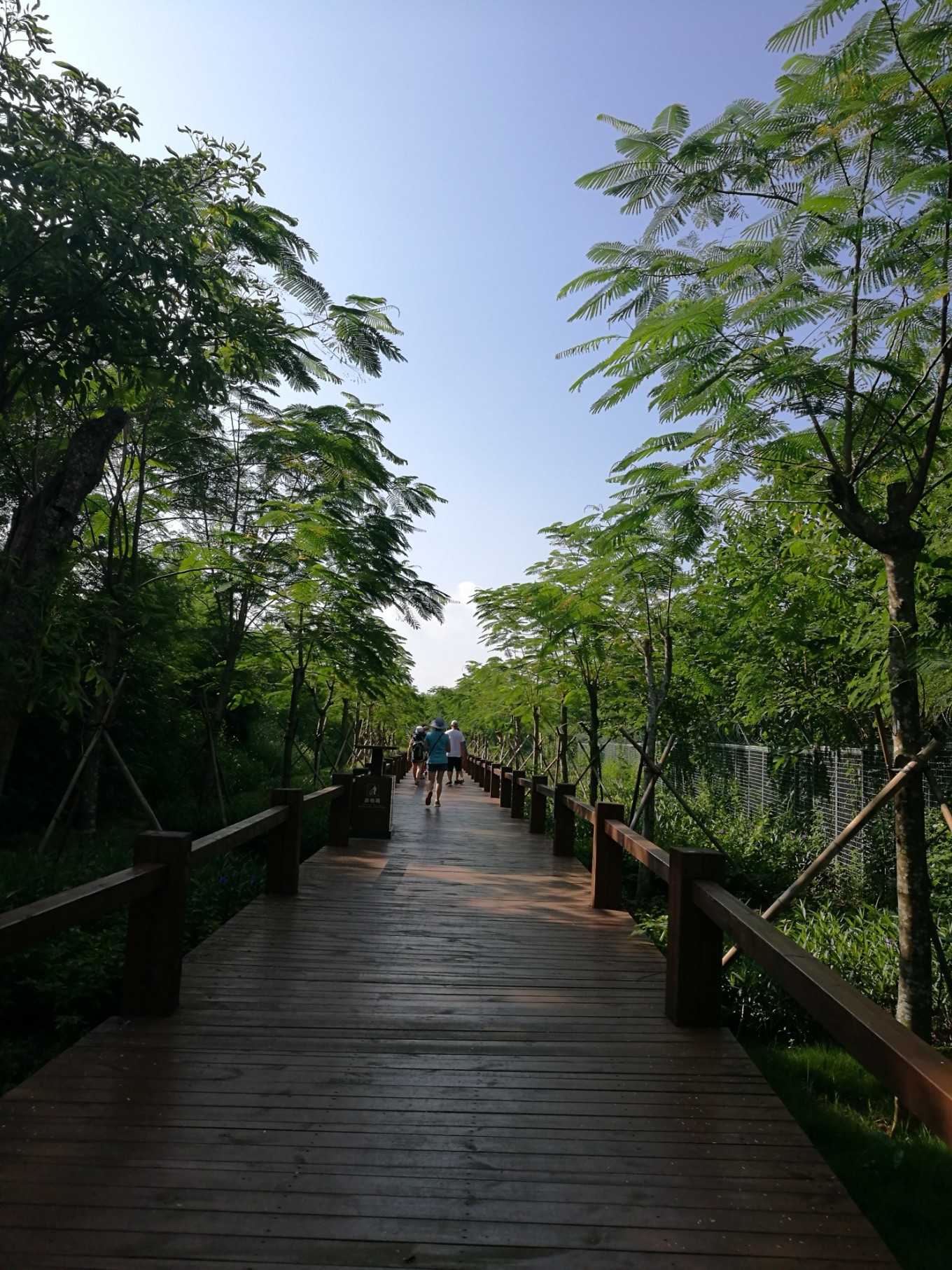 南宁北海涠洲岛六日游攻略,南宁涠洲岛德天瀑布五日游攻略