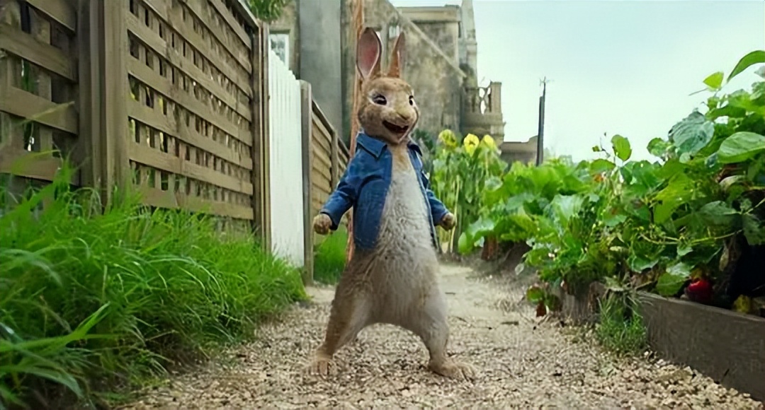 比得兔的故事书适合多大孩子看,比得兔儿童文学