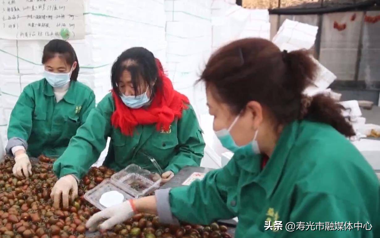 山东寿光高效农业发展情况,寿光农业农村2022年发展