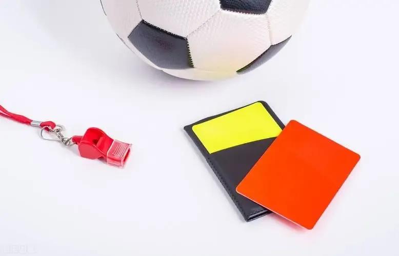 韩国主帅被红牌罚下会罚款吗,韩国足球十大暴力红牌