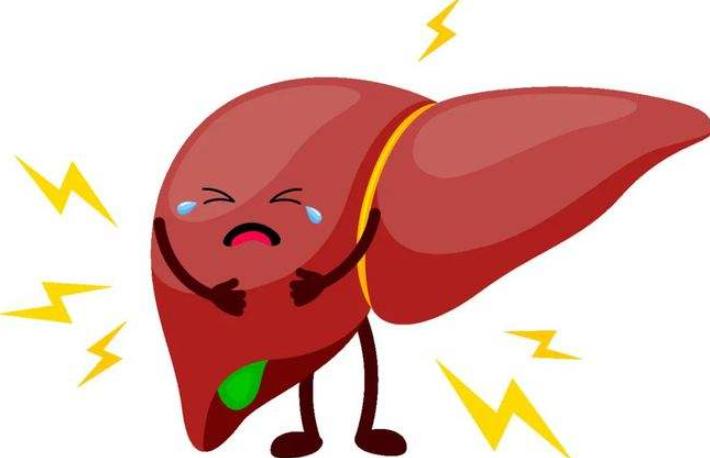 非酒精性脂肪肝的治疗,酒精性脂肪性肝病