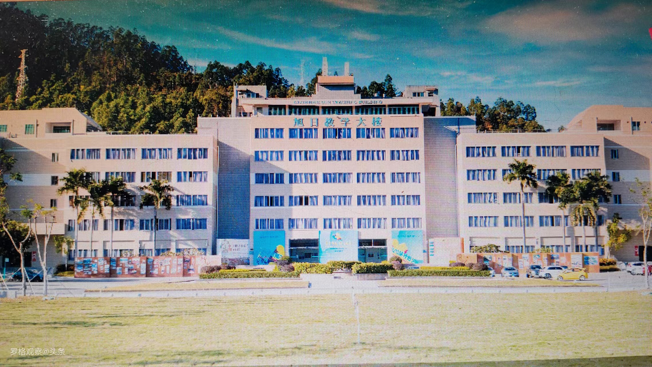 惠州学院的毕业生就业情况,惠州学院2017毕业生