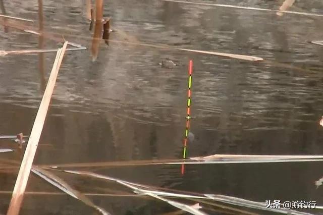 梅州钓法为什么容易脱钩跑鱼,跑铅钓法为什么没有漂相