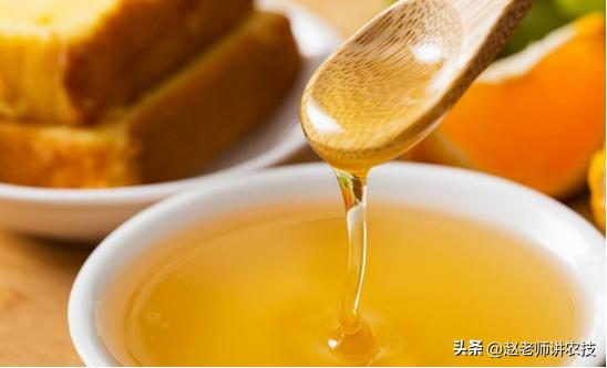 辛苦劳作的蜜蜂,辛苦的老蜜蜂