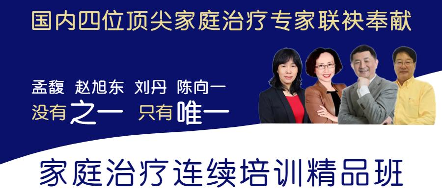沉浸式感受系统家庭咨询的魅力——记家庭治疗连续培训精品班刘丹