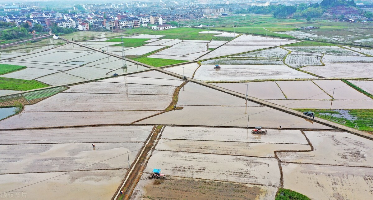 全国农资打假政策,农资打假最新政策