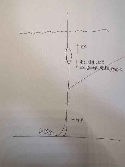 化老师钓翘嘴饵料,化老师调高钓低