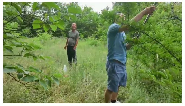 舅舅家的亲戚,舅舅家是谁的家