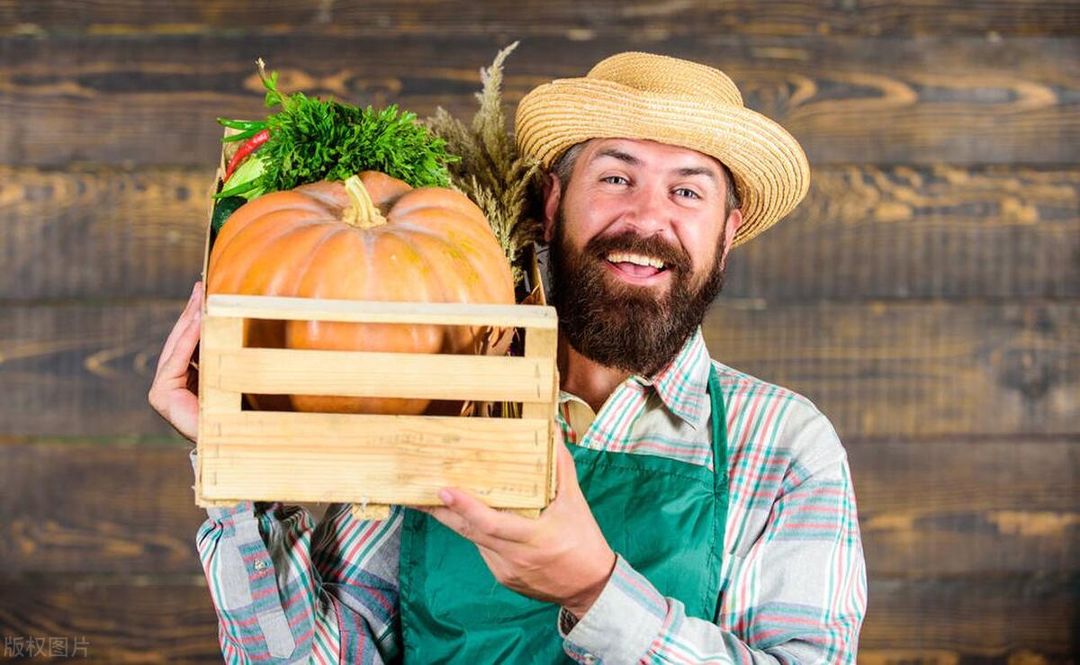 蔬菜生鲜配送公司的盈利模式,蔬菜配送利润如何计算
