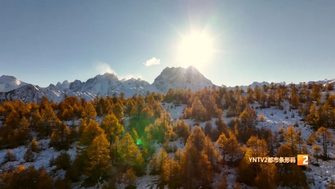 秋天的云南哪里漂亮又美丽,有一种美叫云南的秋天美景