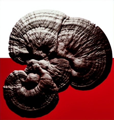 国货精华大概费用多少,国货超便宜精华