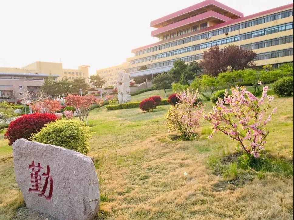 近日，青岛大学上榜教育部名单，实现重大突破！山东仅2所省属高校入选！