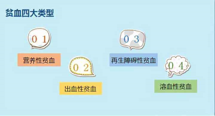 宠物贫血不吃不喝怎么办,宠物怎么检测贫血呢图片