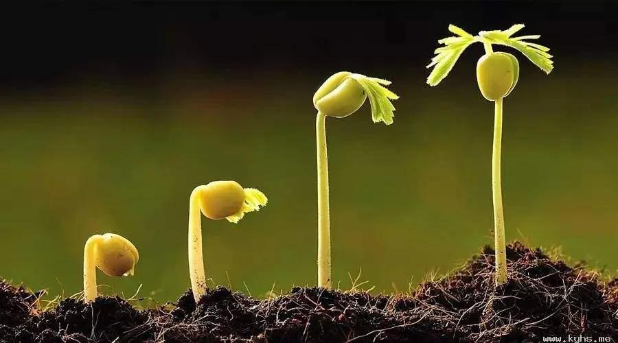 我在热火朝天的工地搬砖 (工地搬砖的我的生活)