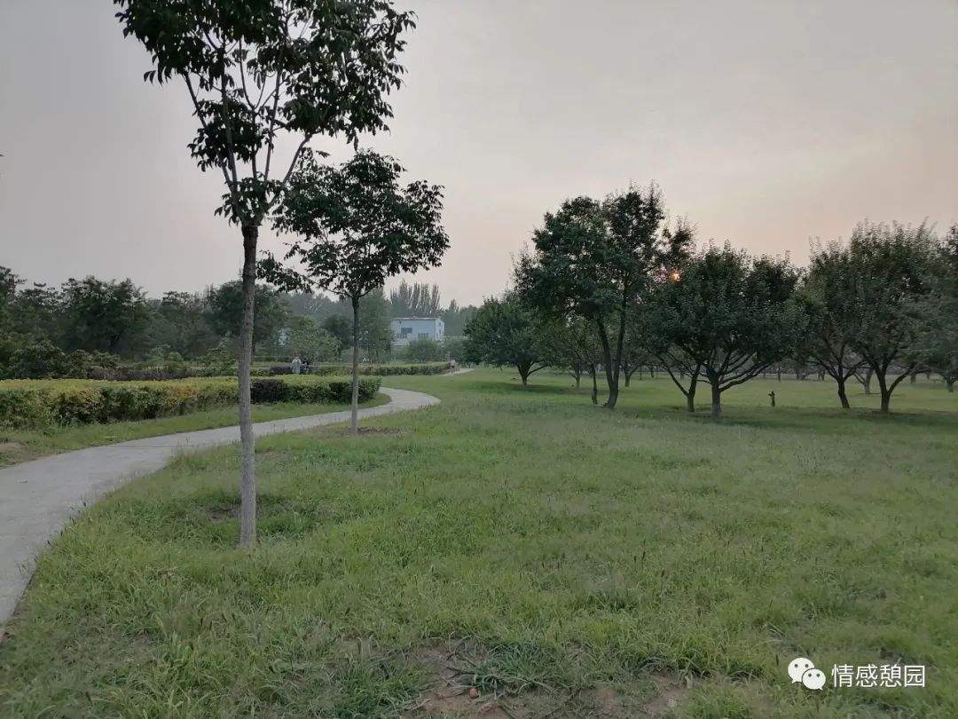 一段路一段情的唯美句子,一段路一段缘