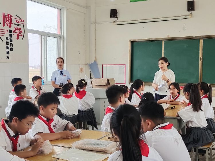 劳动实践促成长心得,劳动助成长实践促发展记录表