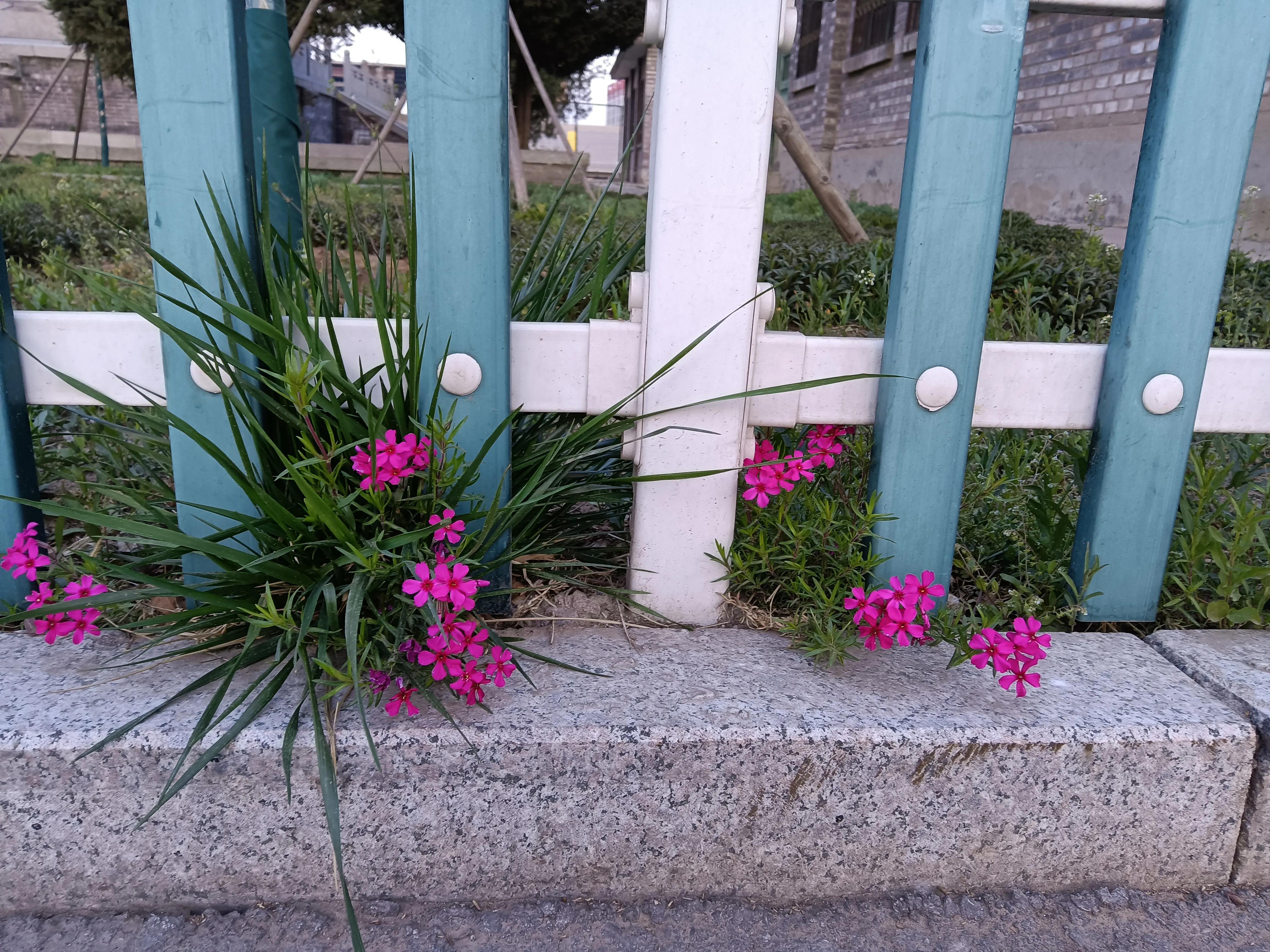 知识分子需要重道义勇担当,知识分子的使命为天地立心