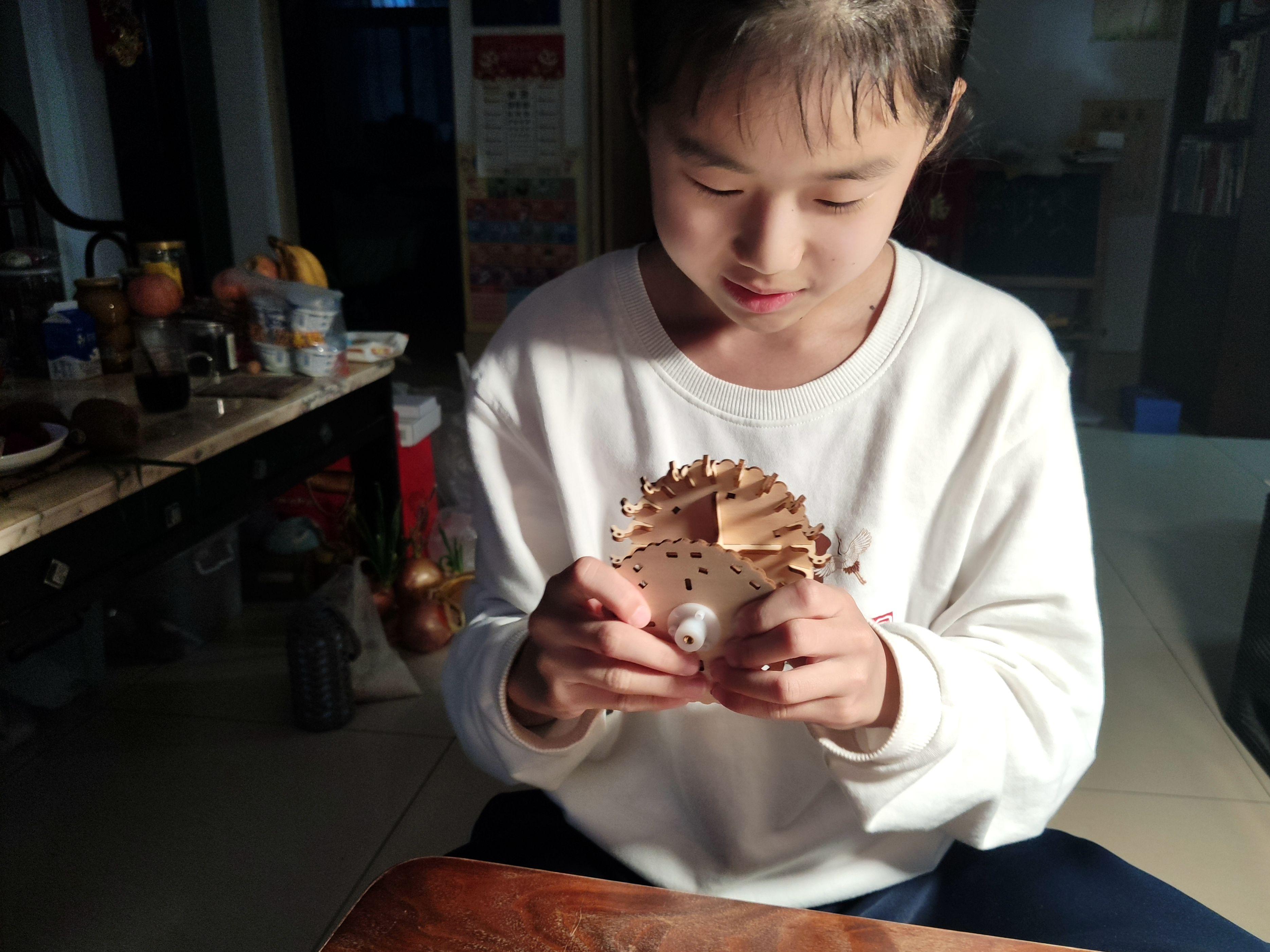 旋转木马八音盒简单,手工旋转木马八音盒