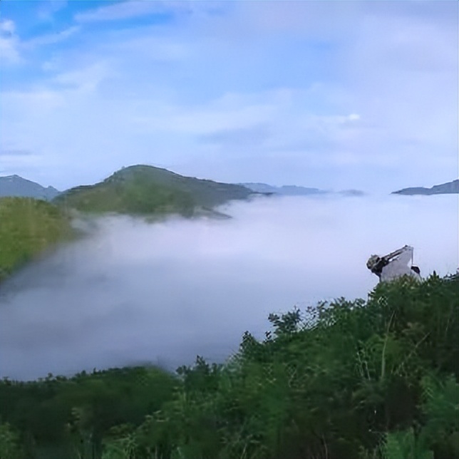 【上饶天下SHOW之广信区】中华蜜蜂谷:藏在五府山竹海密林中的蜜蜂“乐园”