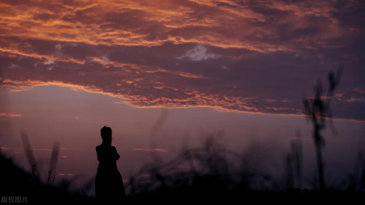 十二星座金牛座详细介绍,十二星座分析陈茂源金牛座