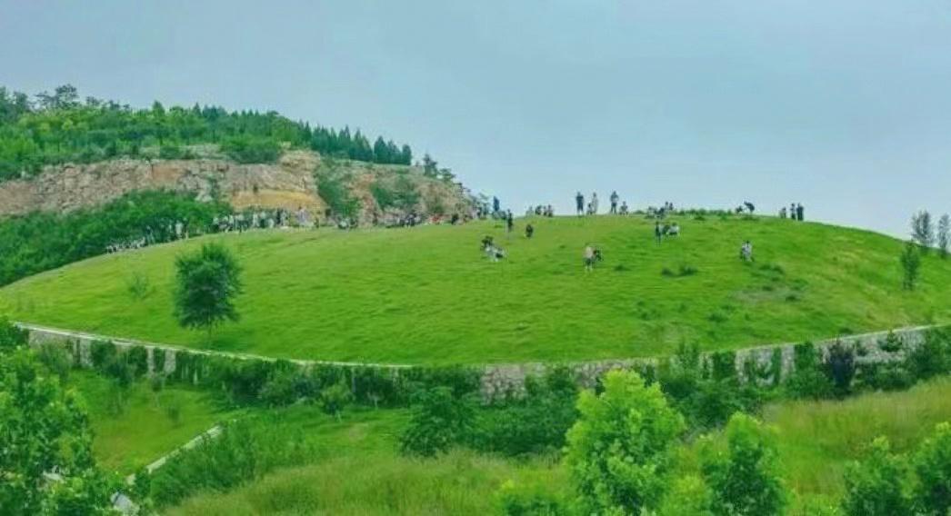 山东有海有雪有山有平原,山东有没有广阔草原