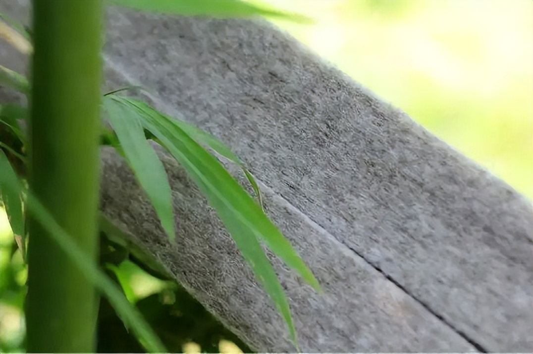 环保材料做环保服装,绿色环保制作服装可用材料