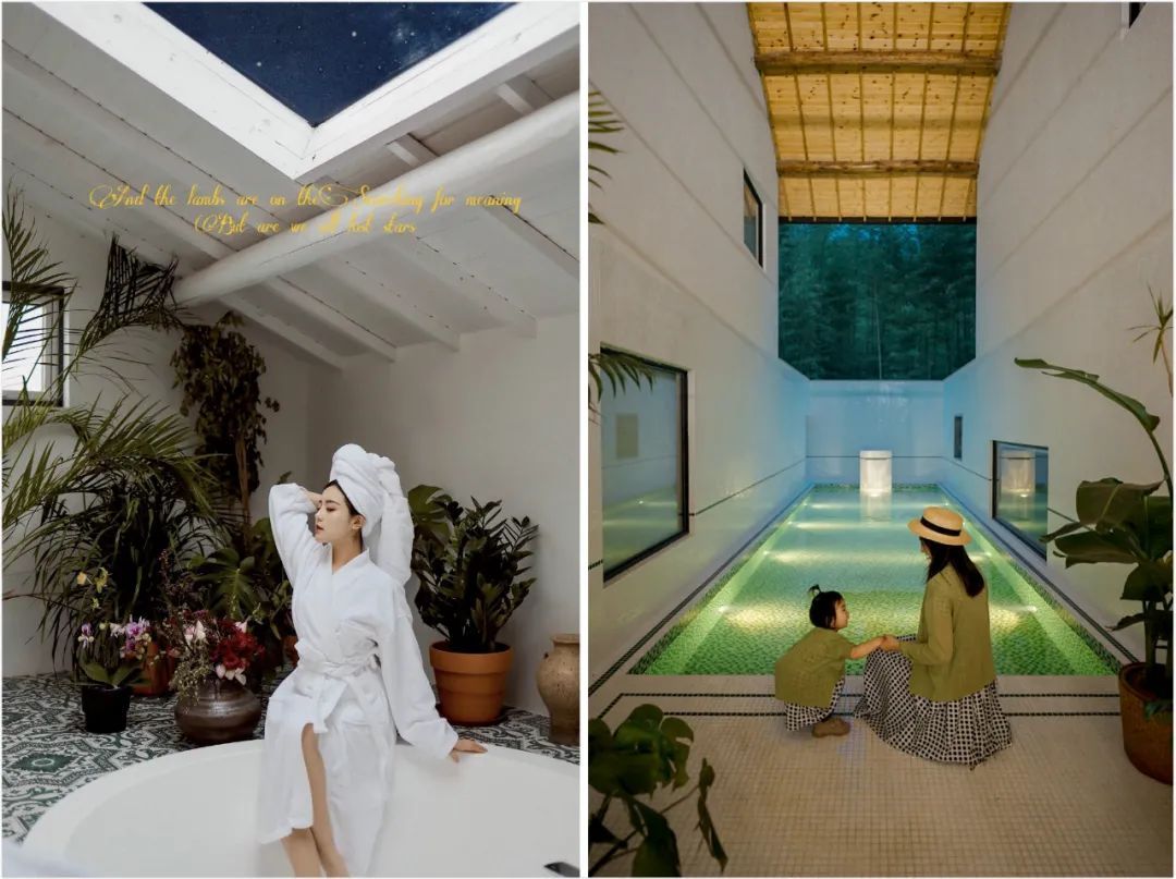 江浙沪附近避暑民宿,夏天莫干山性价比民宿推荐