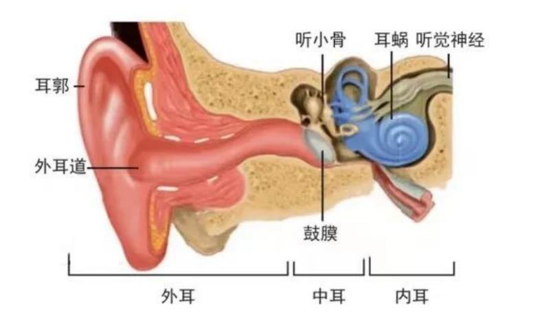 sanagz36spromax蓝牙耳机评测,sanag耳机z65s