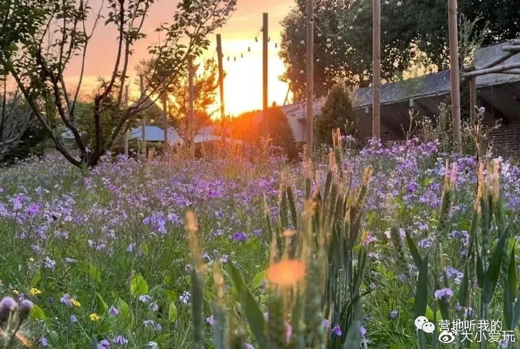 北京适合孩子玩的农场,一年四季都可以去的亲子农场