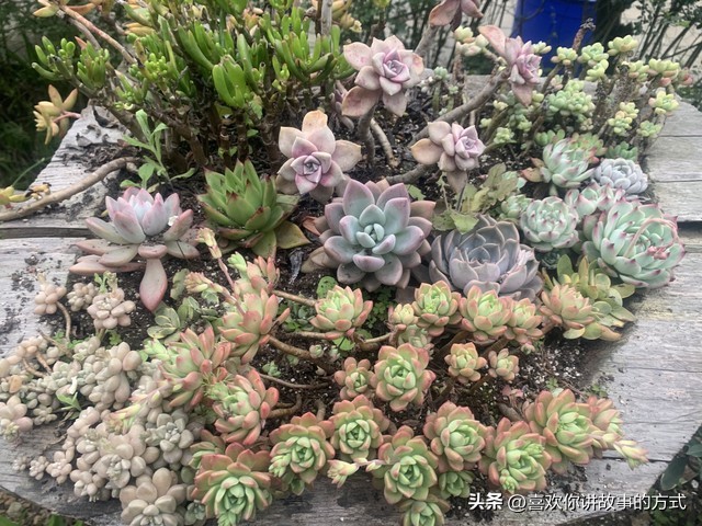 花季芳华时节雨纷纷