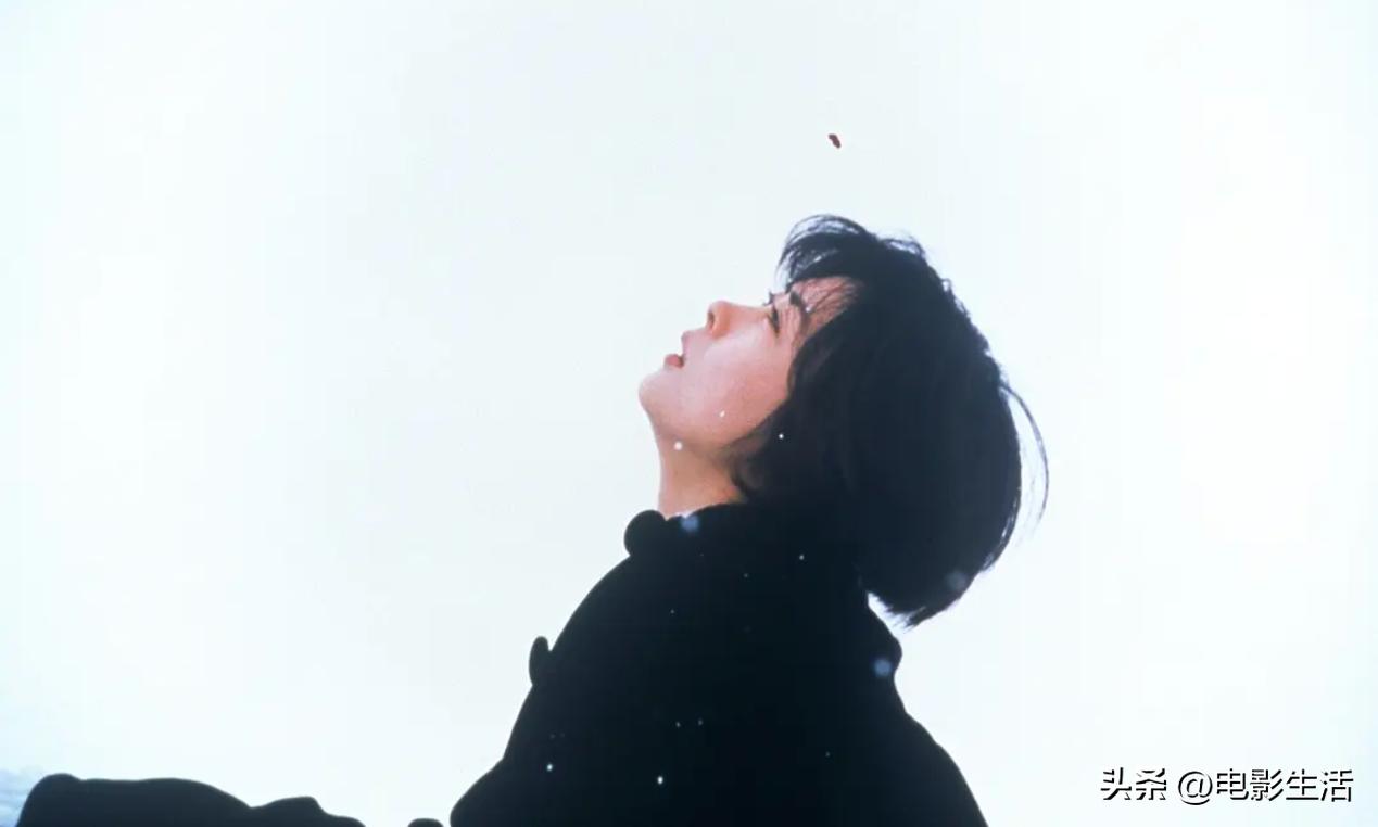 情人节必看片单，部部经典，又甜又好哭！