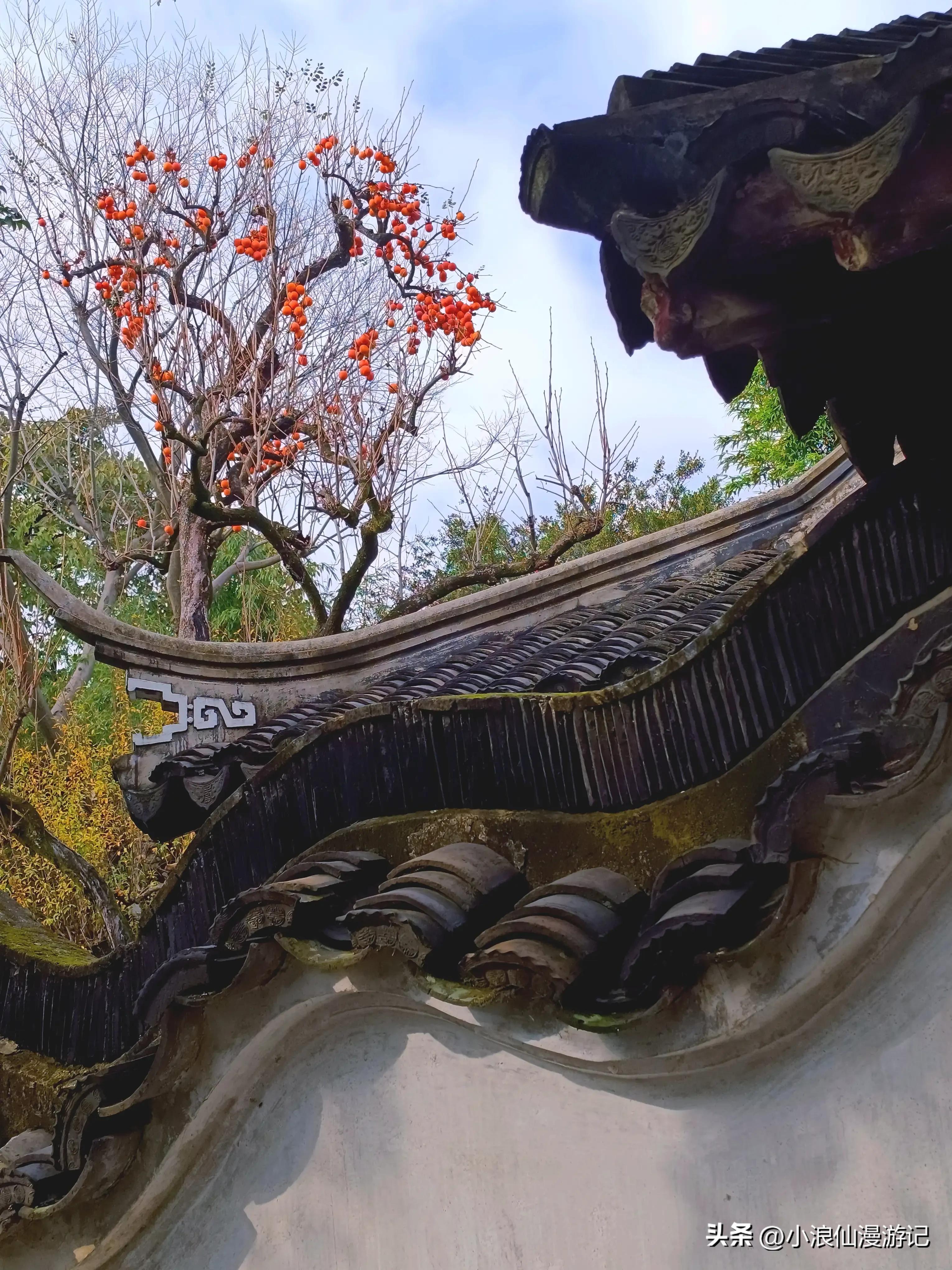 苏州园林怡园拍摄地点,苏州园林里的怡园是什么