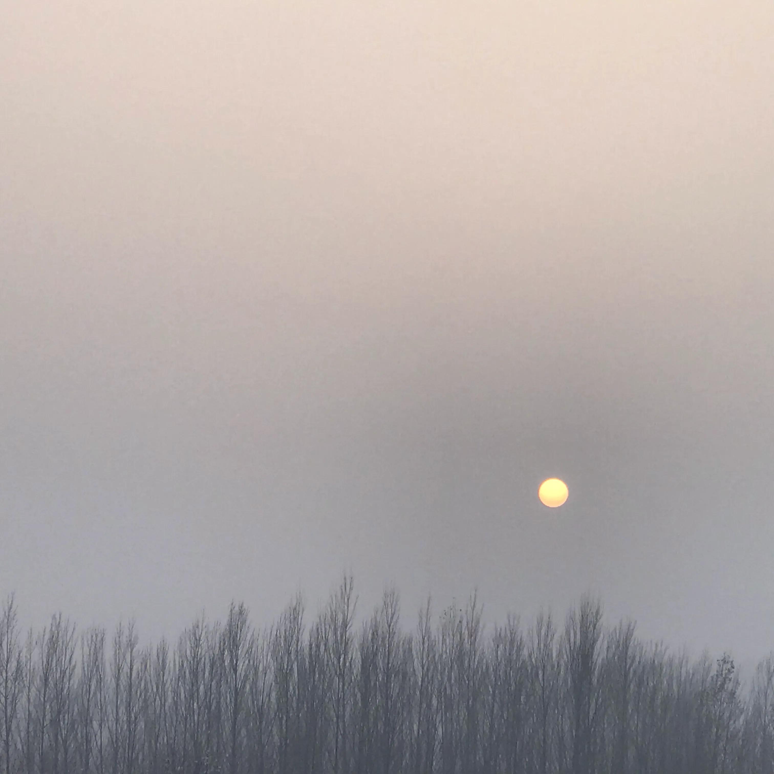 适合新手的低门槛投稿公众号,适合新手的公众号