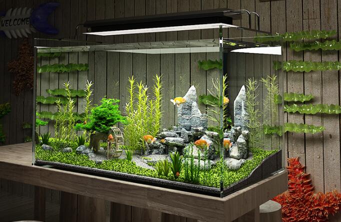 龟所有用品,新手养龟用品