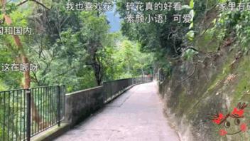 住半山豪宅、在伦敦买楼，网红圈隐形富婆身份被揭穿“消失”了…