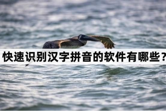 一键识别所有字拼音的软件,汉字转拼音语音软件下载