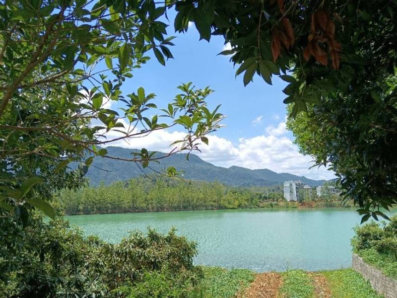 穿越咸宁隐水洞，感受水月洞天的奇幻，仿佛置身于奇幻的世界中。