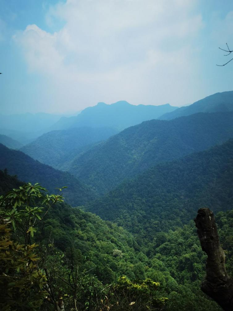 春节江西自驾游最佳攻略,江西旅游攻略自驾游路线